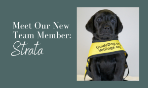 Meet Our New Team Member!