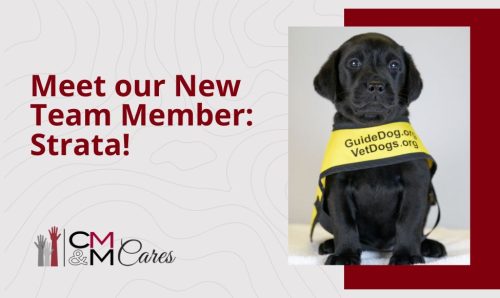 tMeet Our New Team Member!